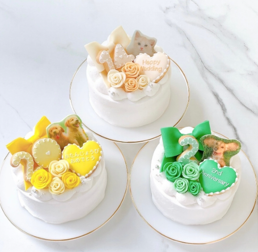 セミオーダー-選べる9色♪-写真ケーキ（プリントケーキ）リボン付《新色の白（ベージュ）を追加》-4号-12cm（Rstyle）-Cake-jp2